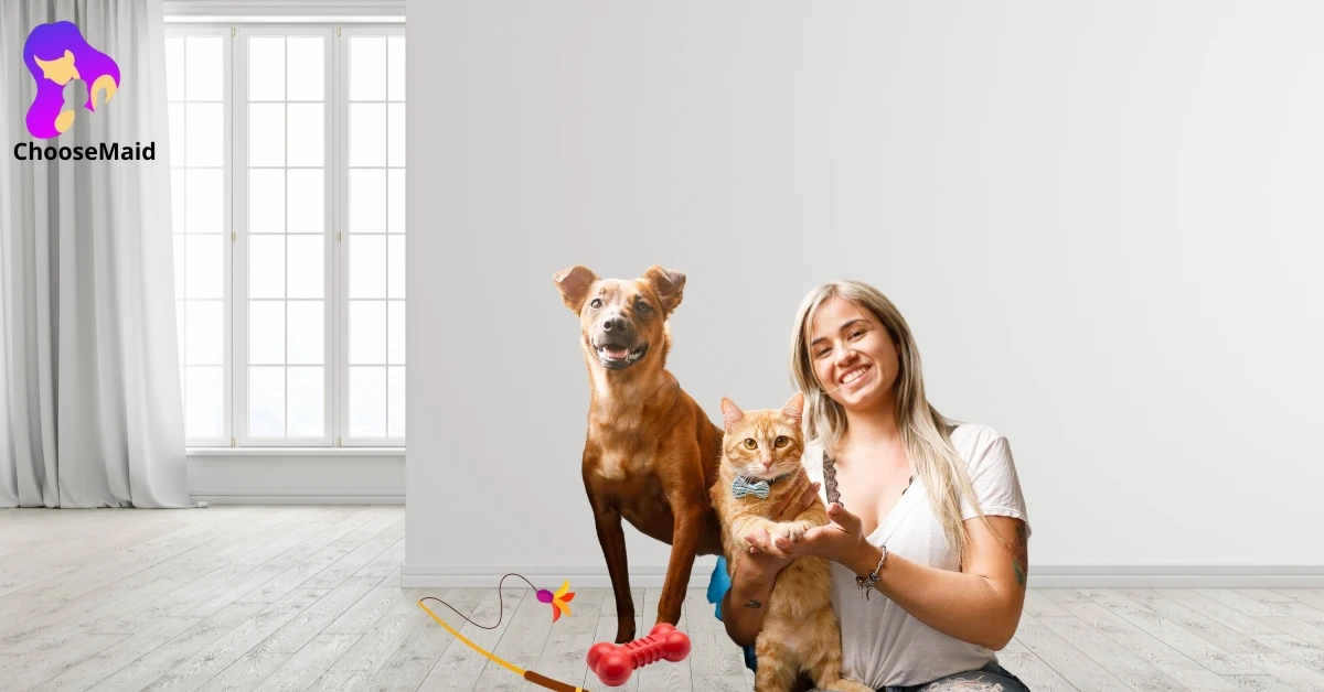 pet sitter in Dubai pet sitter in Dubai