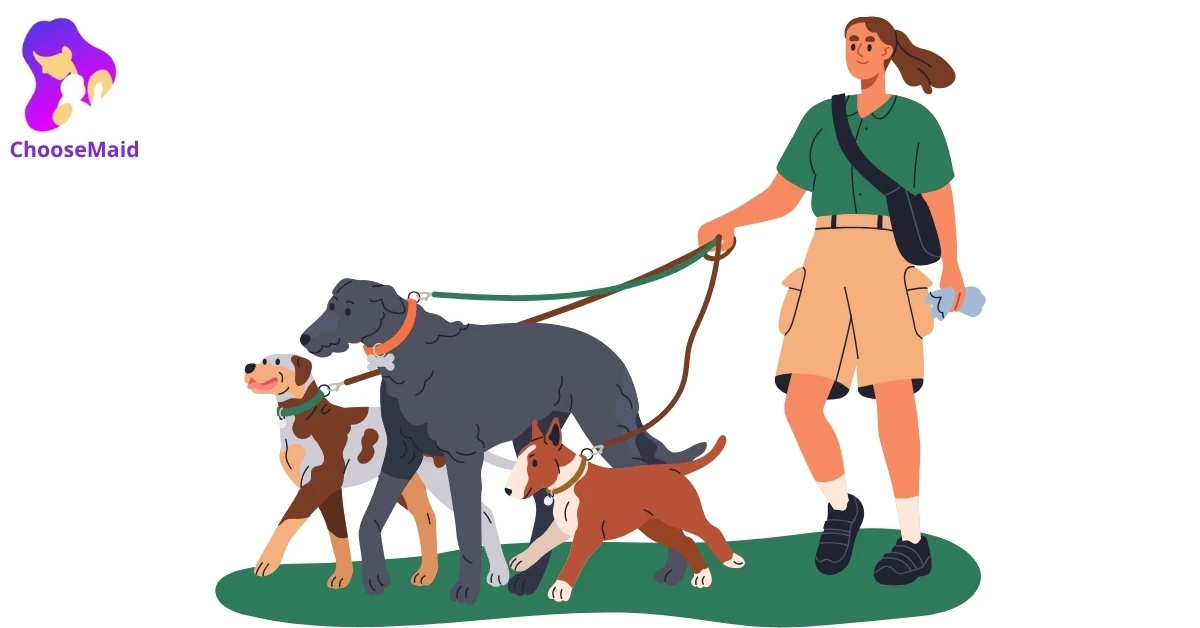 Types of Pet Sitting Services Available Types of Pet Sitting Services Available