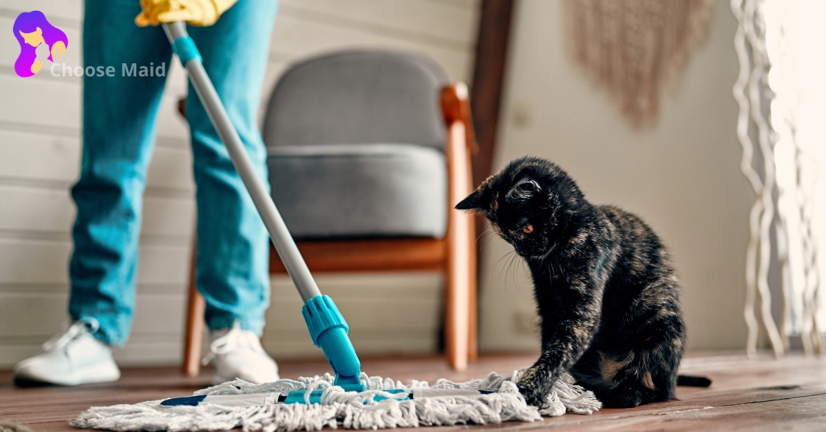 House Cleaning Service in Dubai – Domestic Cleaners